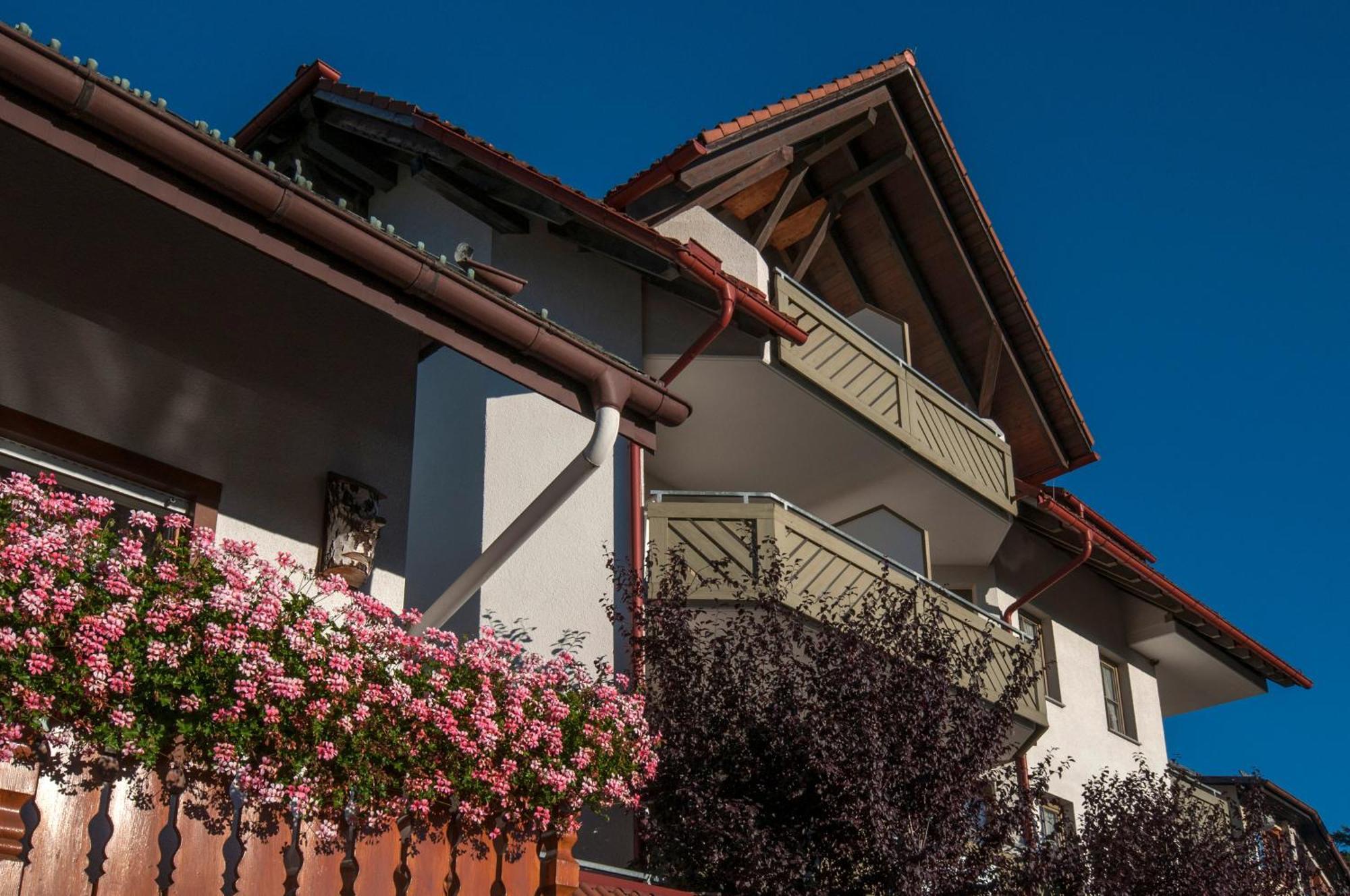 Apartment 03 - Ferienresidenz Roseneck, Mit Schwimmbad In Todtnauberg Bei Feldberg Exteriér fotografie