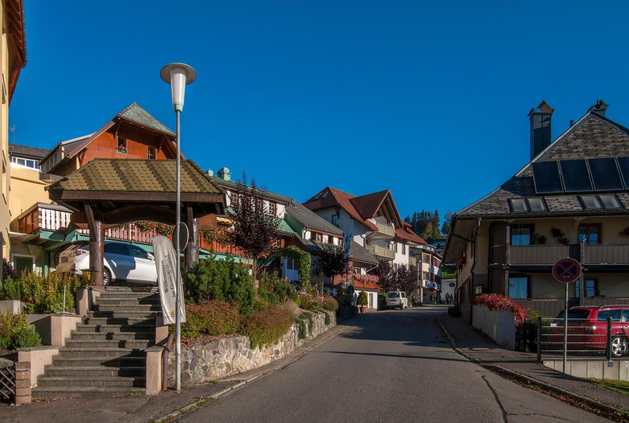 Apartment 03 - Ferienresidenz Roseneck, Mit Schwimmbad In Todtnauberg Bei Feldberg Exteriér fotografie
